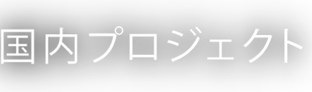 国内プロジェクト